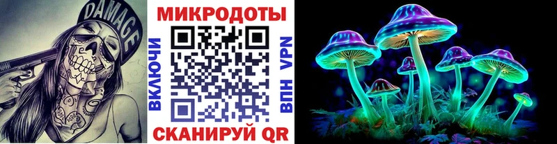Галлюциногенные грибы Psilocybe  как найти закладки  KRAKEN онион  Гвардейск 
